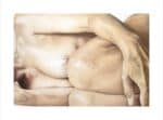 Signed Fine Art Print Cocoon